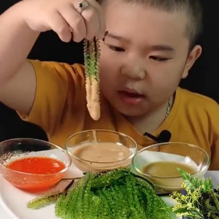 Rong nho Namiso - món ăn phù hợp từ trẻ em đến người già