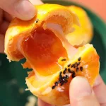 1 Bánh Trứng Nướng Lòng Đỏ Chảy Đài Loan 50g
