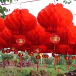 1 Bịt 10 LỒNG ĐÈN GIẤY ( F35 / 30CM )
