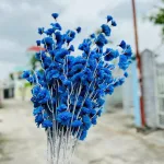 1 CÀNH ĐÀO RÂU