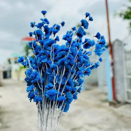 1 CÀNH ĐÀO RÂU