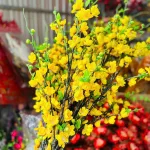 1 CÀNH HOA ĐÀO CỔ - Loại Dài