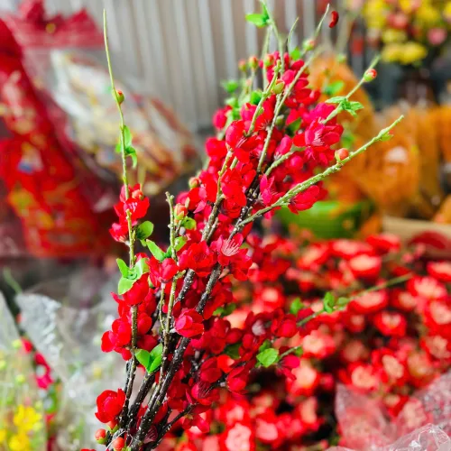 1 Cành Hoa Đào Cổ - Mẫu Ngắn