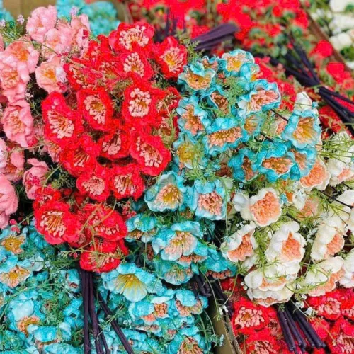 1 Cành HOA GẠO XỐP Nhiều Màu