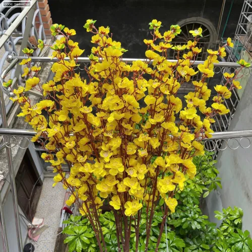 1 CÀNH HOA MAI Hoặc 1 Cành ĐÀO TẾT