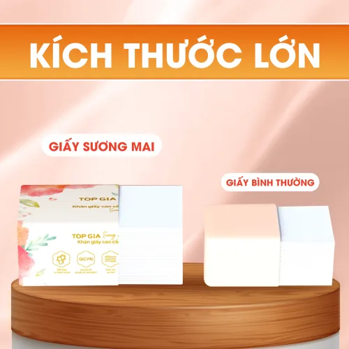 1 Thùng Giấy Ăn 20 Gói Topgia Sương Mai