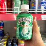 1 Thùng Trà Bí Đao Wonderfarm 24 Chai Nhỏ 280ml