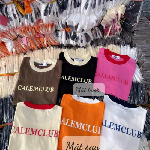 Áo thun nữ Baby Tee ôm body từ 35kg - 55kg in chữ CALEMCLUB