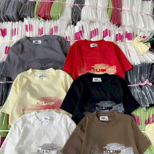 Áo Thun Nữ Cổ Tròn Baby Tee In Chữ HinMi Mạc AH787