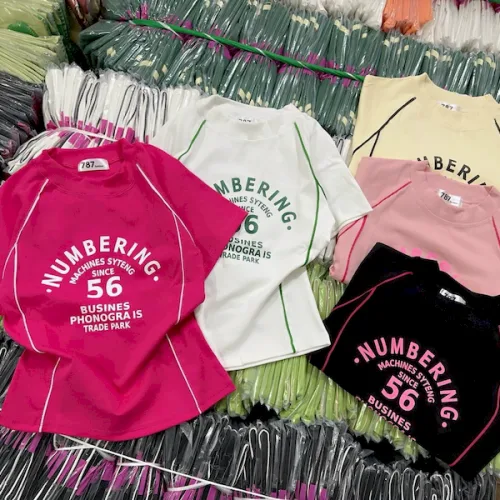 Áo Thun Nữ Cổ Tròn Baby Tee In Chữ Numbering Mạc AH787
