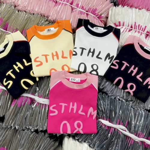 Áo Thun Nữ Cổ Tròn Baby Tee In Chữ STHLM 08 Mạc AH787
