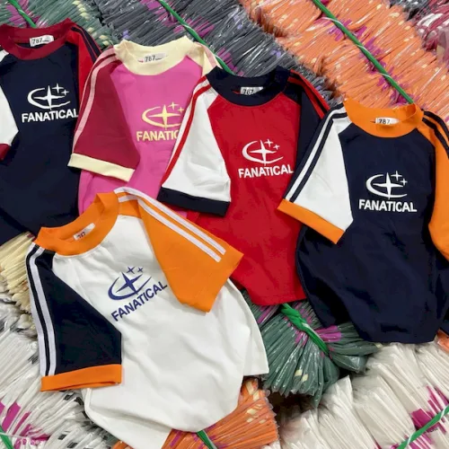 Áo Thun Nữ Cổ Tròn Baby Tee Tay Phối Màu In Hình Ngôi Sao AH787