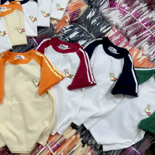 Áo Thun Nữ Cổ Tròn Baby Tee Tay Phối Màu In Hình Cún Mạc AH787