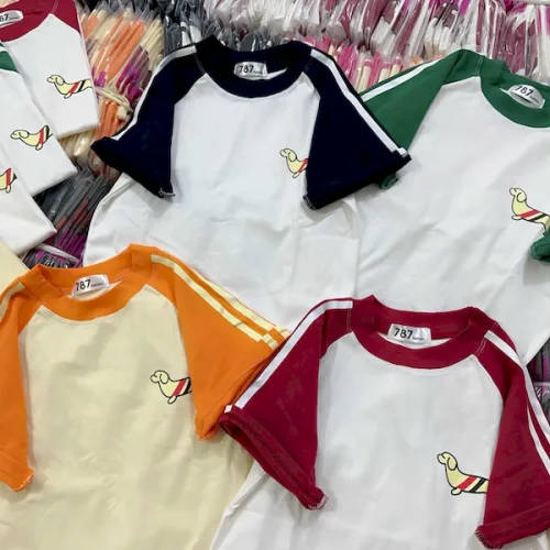 Áo Thun Nữ Cổ Tròn Baby Tee Tay Phối Màu In Hình Cún Mạc AH787