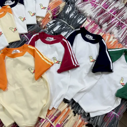 Áo Thun Nữ Cổ Tròn Baby Tee Tay Phối Màu In Hình Cún Mạc AH787