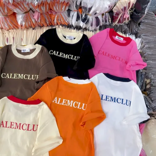 Áo Thun Nữ Cổ Tròn Baby Tee Thêu Chữ CALEMCLUB Mạc AH787