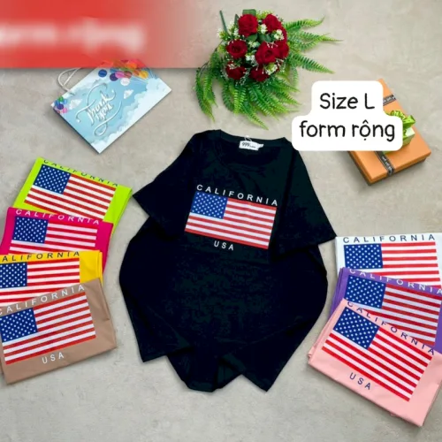 Áo Thun Nữ Cổ Tròn Form Rộng In Hình Size L(55-75kg)