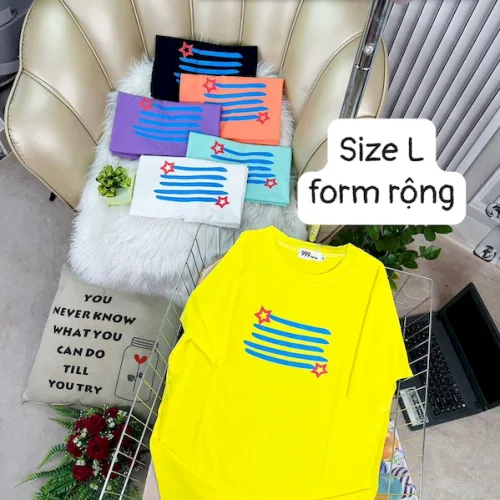 Áo Thun Nữ Cổ Tròn Form Rộng In Hình Size L(55-75kg)