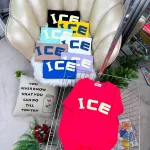 Áo Thun Nữ Cổ Tròn In Chữ ICE form vừa size M(40-60kg)