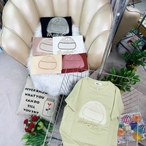 Áo Thun Nữ Cổ Tròn Thuê Hình Và Chữ form vừa size M(40-60kg)