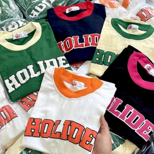 Áo Thun Nữ Trơn Cổ Tròn Baby Tee In Chữ HOLIDE Mạc AH787