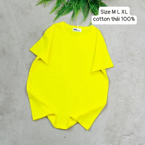Áo Thun Nữ Trơn Cổ Tròn Form Rộng Size L(55-75kg)