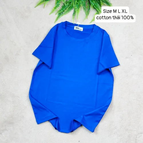 Áo Thun Nữ Trơn Cổ Tròn Form Rộng Size L(55-75kg)