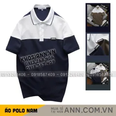 Áo Thun Polo Nam - Áo Thun Nam Cổ Bẻ Phối 2 Có Logo Trước Ngực Big Size