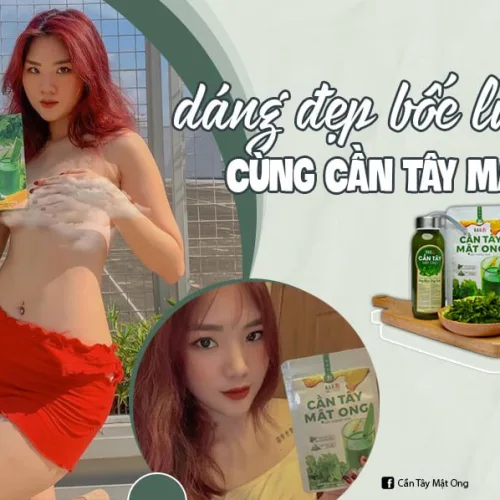 Bạn đang tìm kiếm vòng eo 59 thật uổng phí nếu bỏ qua cần tây mật ong