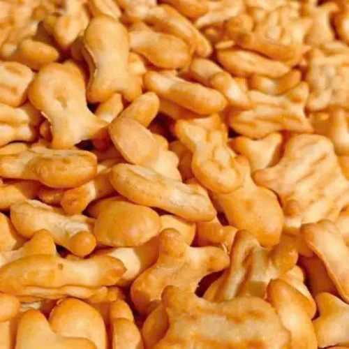 Bánh Quy Cá Vị Bơ Sữa Thơm Ngon - Bánh Quy Tạo Hình 250g Hộp Pet