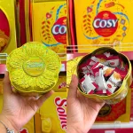 Bánh Yến Mạch Richy Colletion - Bánh Richy 100g