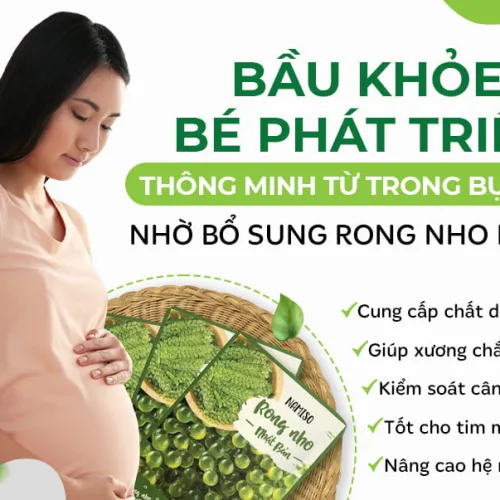 Bé phát triển thông minh từ trong bụng mẹ nhờ bổ sung Rong nho Namiso