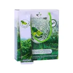 Cà Phê Xanh Thiên Nhiên Việt Hộp Nhỏ 10 Gói (Combo 2 Hộp)