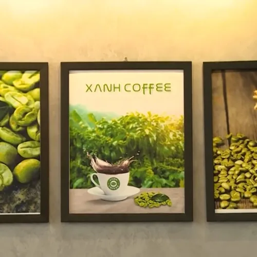Cà phê xanh Thiên Nhiên Việt tự hào vì được người nổi tiếng tin dùng