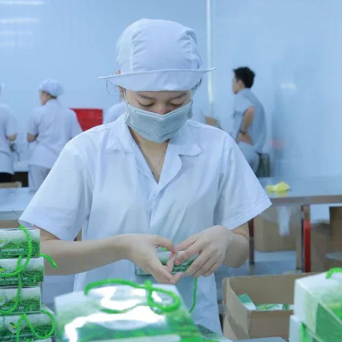 Cà phê Xanh và sự nỗ lực mang đến dòng sản phẩm chất lượng vượt trội