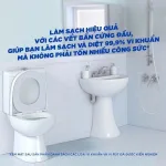 Chai Tẩy Bồn Cầu Duck Thái Lan - Chai Khử Mùi Bồn Cầu Diệt Khuẩn Siêu Sạch Tiết Kiệm 900ml