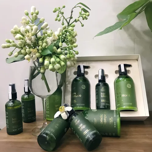 Có gì trong combo bưởi Vijully này?