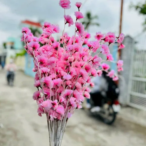 Combo 10 CÀNH ĐÀO RÂU Nhiều Màu