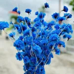 Combo 10 CÀNH ĐÀO RÂU Nhiều Màu