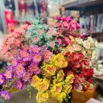 Combo 10 Cành HOA GẠO XỐP Nhiều Màu ( 10 Cành)