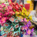 Combo 10 Cành HOA GẠO XỐP Nhiều Màu ( 10 Cành)