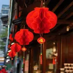 Combo 50c (5 Bịt) - mỗi bịt 10 LỒNG ĐÈN GIẤY ( F35 / 30CM )