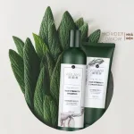Combo bộ dầu gội xả Weilaiya mọc tóc chiết xuất gừng xả