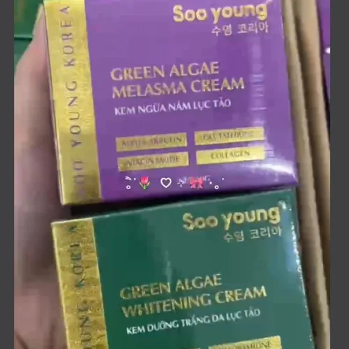 Combo Face Ngày Lục Tảo Soo Young Mini + Face Đêm Lục Tảo Soo Young Mini