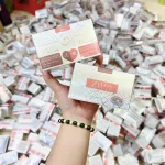 Combo Face Zelda Plus Mini Ngày Đêm Mẫu Hộp