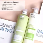 Combo Gội Xả Mixrs Màu Xanh Lá 500ml