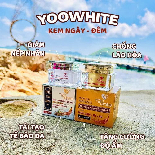 Combo kem Face Yoo White