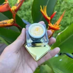 Kem Face Tái Sinh Nicolas - Kem Face Men Tảo Xanh Collagen 5g