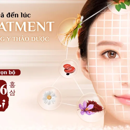 Cùng 36 vị trải nghiệm chu trình treatment đông y thảo dược