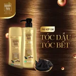 Dầu Gội Dược Liệu Nguyên Xuân Cho Tóc Dầu Bết 520g - Chai Vàng Đậm